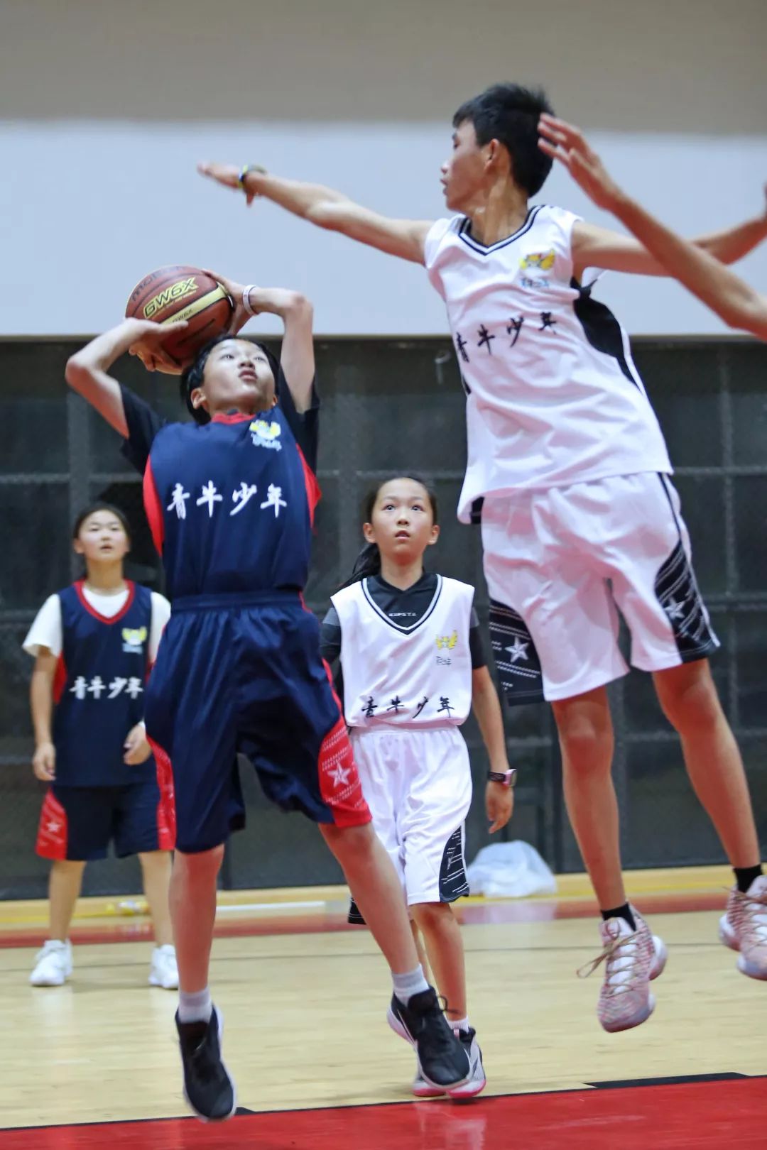 华体会棋牌 -斯图加特训练开放日；今夜刷新队史纪录引欢呼；全明星赛在即；医务组通报恢复(今日2024年nba全明星赛精彩时刻)