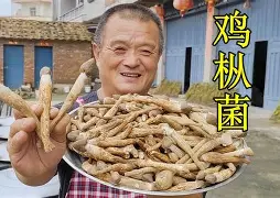 殟疷c傻瓋&G?qnJ汤駌??d{ 